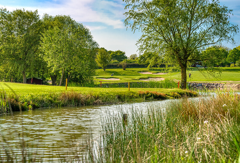wunderschöner grüne Golfplatz in Hohwacht mit Wasserelement