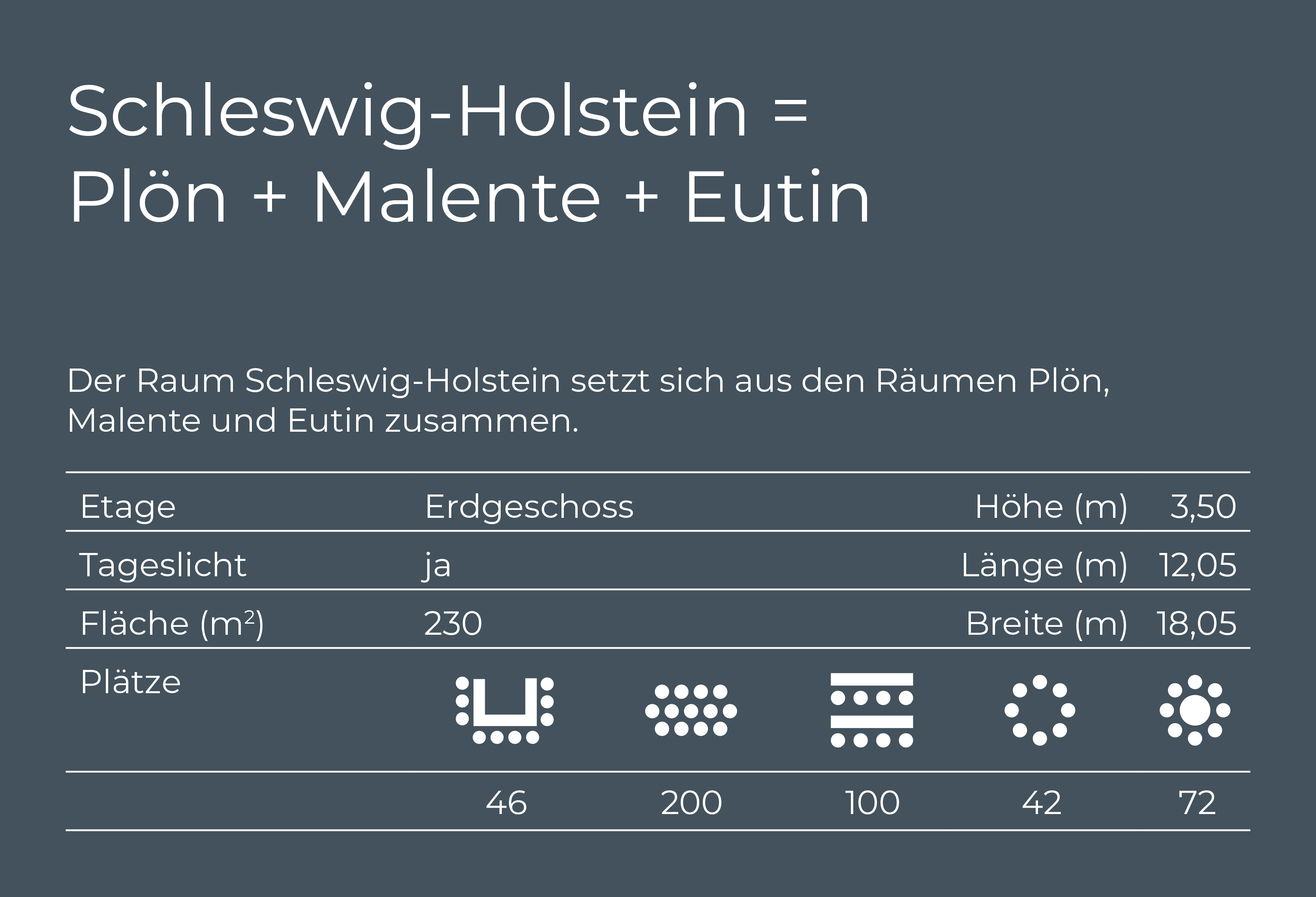 Übersicht Tagungsraum Schleswig-Holstein Übersicht Tagungsraum Schleswig-Holstein, Etage, Tageslicht, Fläche, Bestuhlung